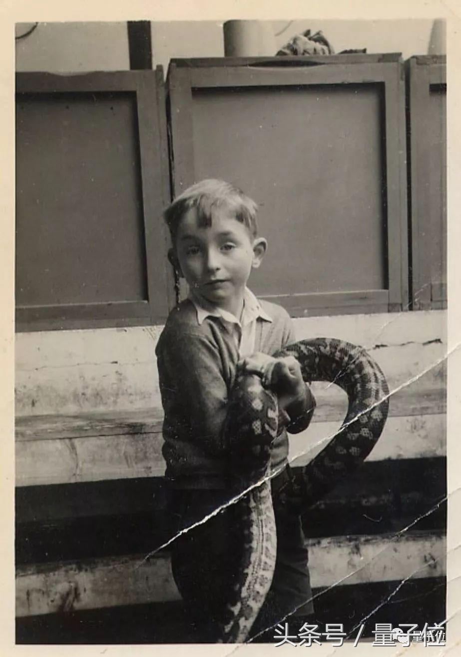 人类科技机器,hinton科技