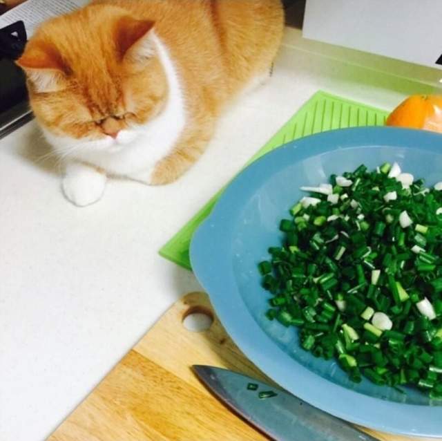 鐚挭瀹堝湪涓讳汉鏃佽竟,鐚挭瀹堢潃鐢熺梾濂跺ザ娴佹唱