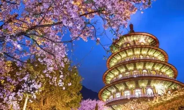 国内2月最美旅行地大推荐,风景线一路美到底(内附游玩线路)!