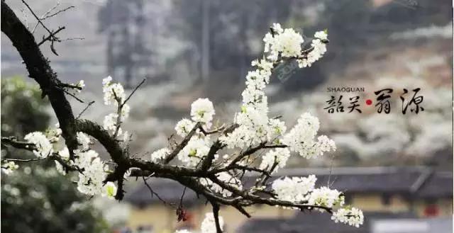 国内2月最美旅行地大推荐,风景线一路美到底(内附游玩线路)!