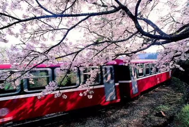 国内2月最美旅行地大推荐,风景线一路美到底(内附游玩线路)!