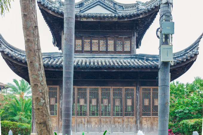 面面旅拍—诉不完千古泪，道不停三亚情，这个冬天我们掌心有太阳