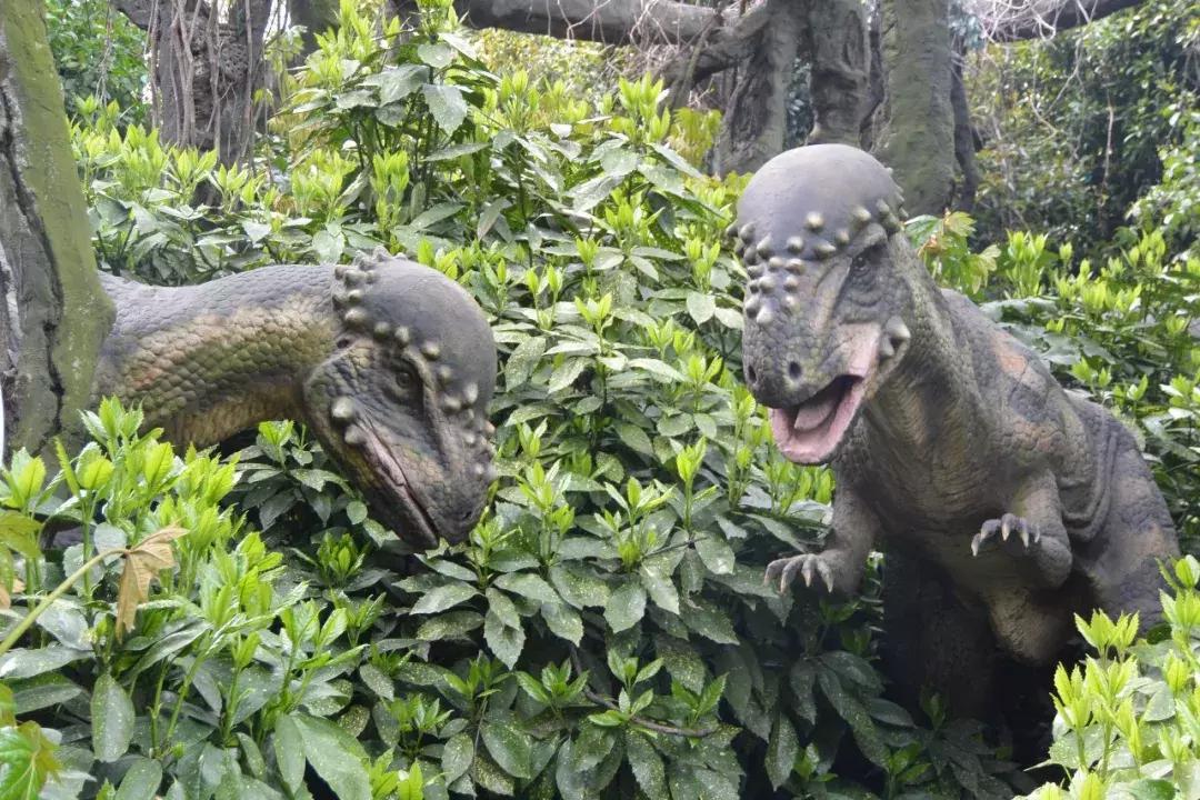 专注商业运营17载,运营了17年的游戏