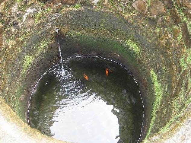 农村的水井为什么那么多水,山里为什么有鳖