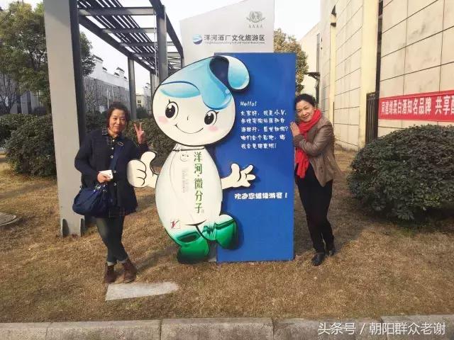 洋河酒厂文化之旅图片,洋河酒厂历史简介概况