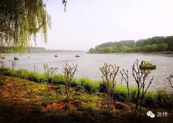 五一劳动节探险王国,五一假期丛林探险