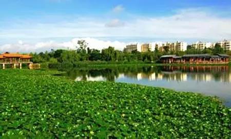 对呈贡评价,大家对呈贡的看法