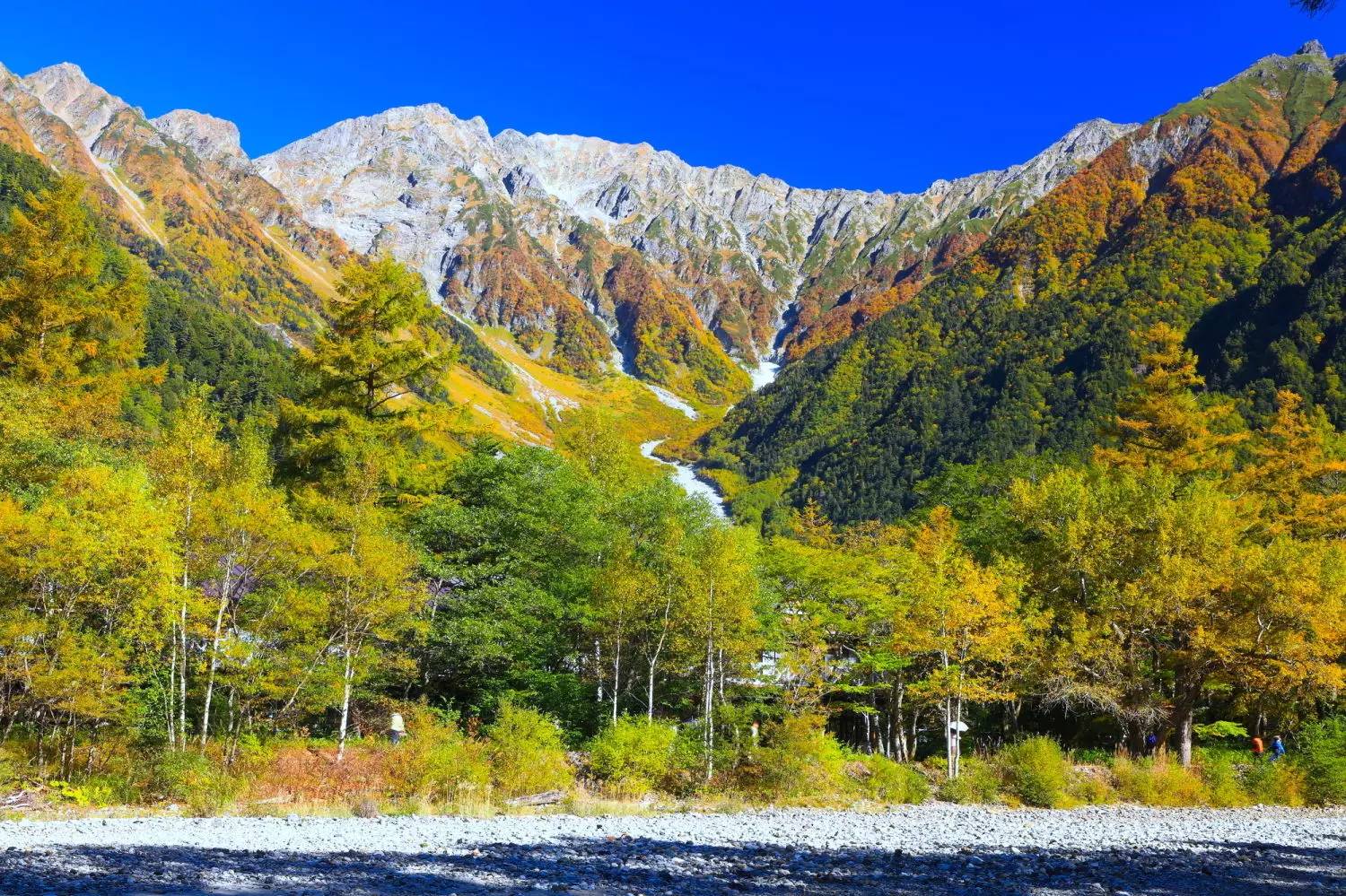 日本十大最美的风景,日本十大顶级美景