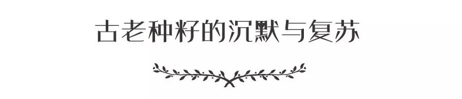 奇亚籽的食用方法,奇亚籽能量