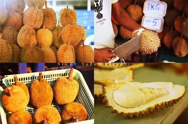 只需5K！去沙巴邂逅小丑鱼、萤火虫之舞和从不设防的微笑！