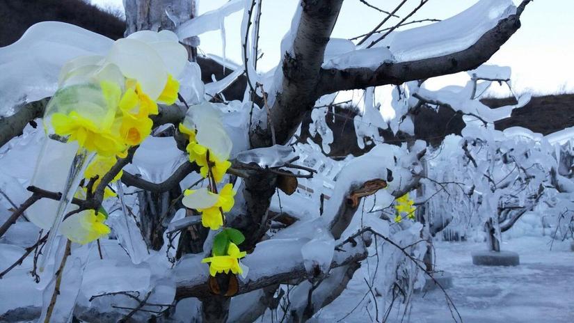 满城龙居冰瀑,满城龙居冰瀑最新视频