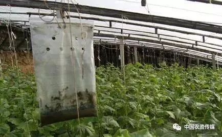 不太理解二氧化碳用什么方法解决,二氧化碳浓度低怎么补最有效