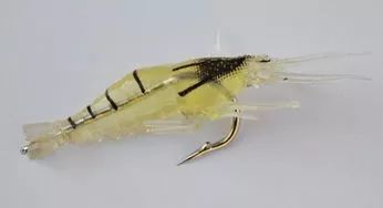 矶钓海钓诱饵笼的用法大全,冬季海钓矶钓用什么假饵最好用