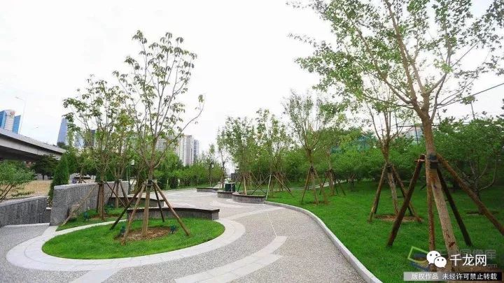 未来五年园林绿化前景,未来5年绿化公园