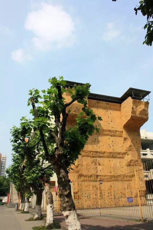 成都体育学院新校区交付,成都体育学院新校区最新消息