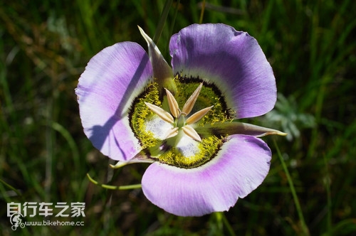 骑行美国·37喜欢旅行，那就上路吧！