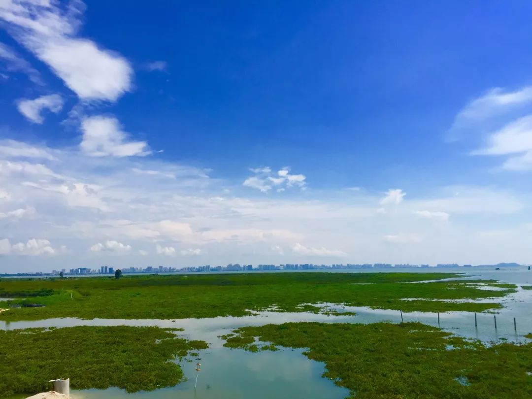 北海十大打卡海景,城事粤语