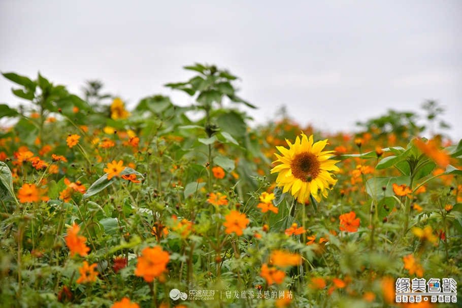 享私人温泉泡池度养生悠闲假期