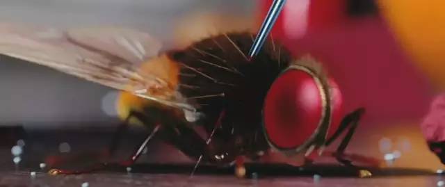 十大印度开挂神片直接看,印度十大开挂神片巴霍巴利王