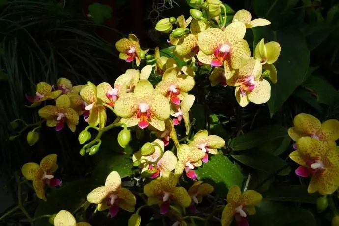 武汉孩子怎么过寒假,怎么让小孩有年味