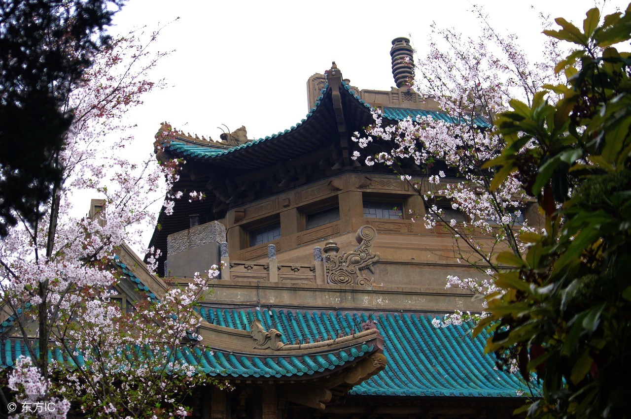 武汉这个城市怎么样有哪些大学,武汉这个城市到底怎么样