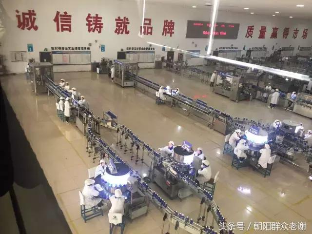 洋河酒厂文化之旅图片,洋河酒厂历史简介概况