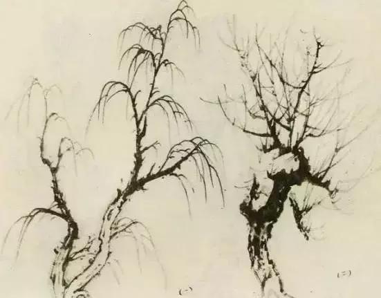 怎么画枯萎的树简单又好看,成长树怎么画小学生六年级