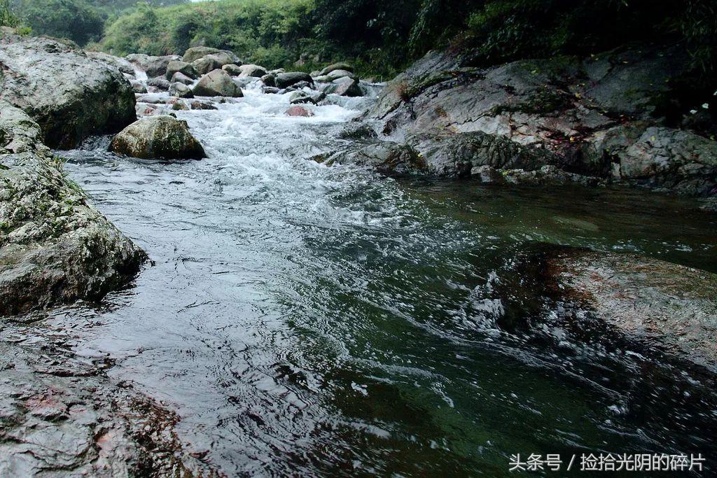 风过竹林的诗句,诗风入林