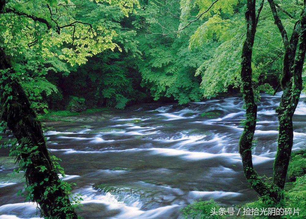 深湖：《风过溪谷》