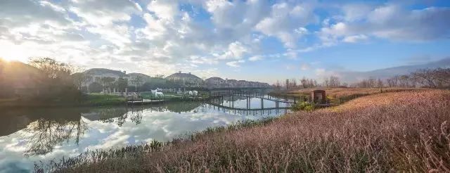 产品竞争力景观店铺流量双料冠军！山水比德2017年落地项目盘点