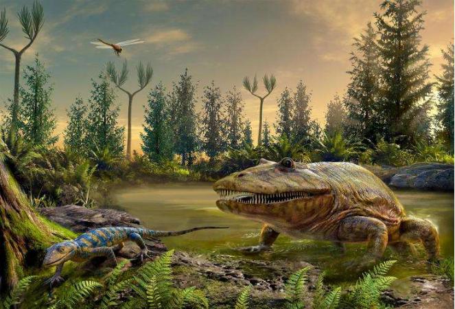 石炭纪煤炭是怎么形成的,为什么石炭纪产生煤炭