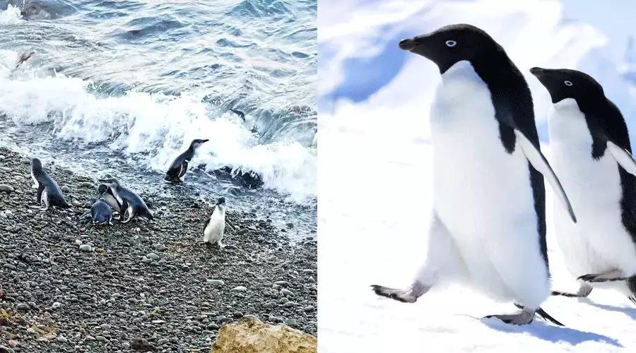 可以媲美欧洲的自驾游地区,十大适合自驾游的国家