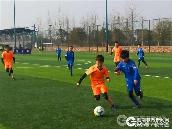 赫山区校园足球联赛成绩,赫山二小与紫竹小学足球联赛
