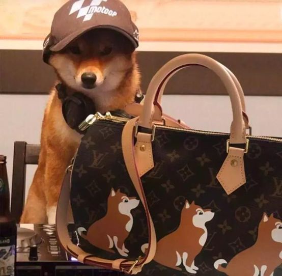 辣眼睛！你们国际大牌是不是对中国狗年有什么误解？