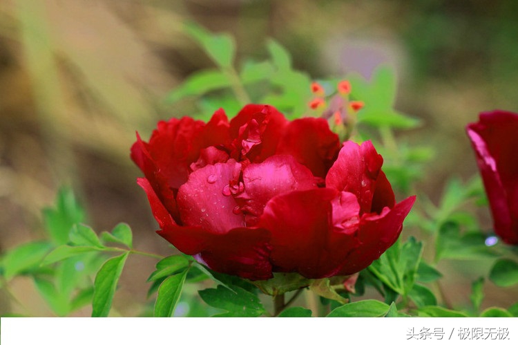 怎样才能知道自己的命理,我们应该怎样看待他人