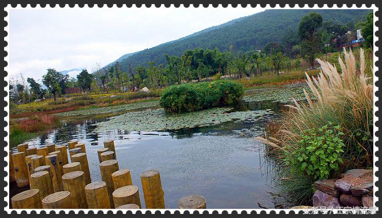 邛海公园旅游攻略,邛海旅游攻略酒村