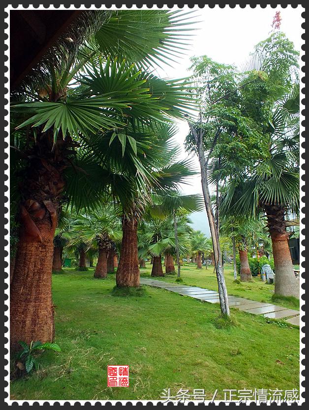 邛海公园旅游攻略,邛海旅游攻略酒村