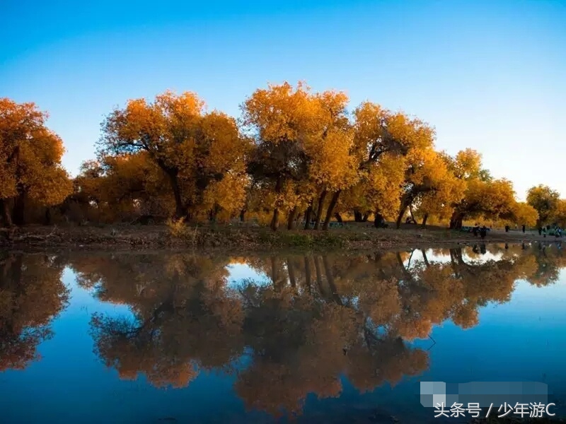 有2个浙江或6个台湾大,农民人均收入直逼上海,它就是*疆新**若羌县