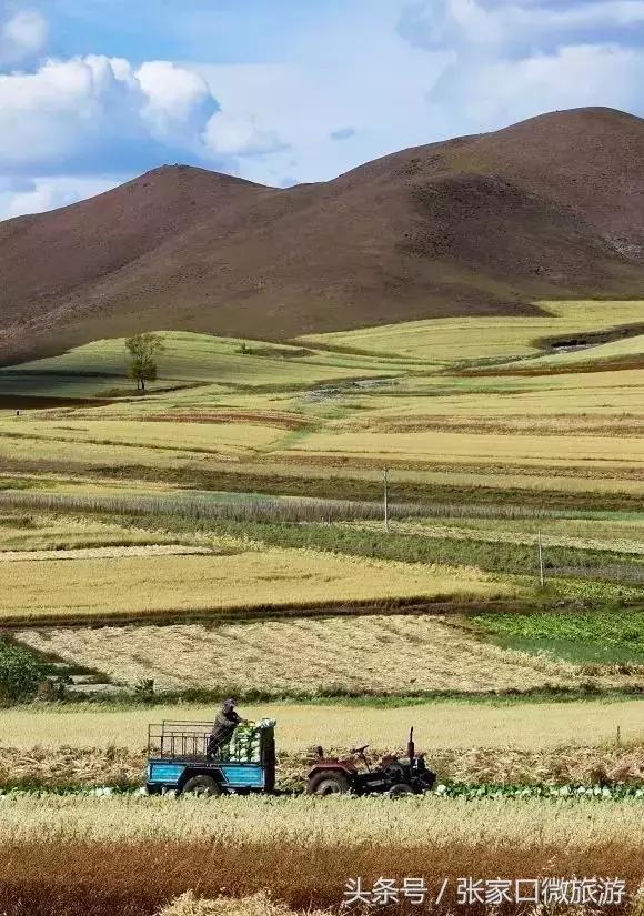 张北草原天路现在的景色,张家口张北草原天路攻略