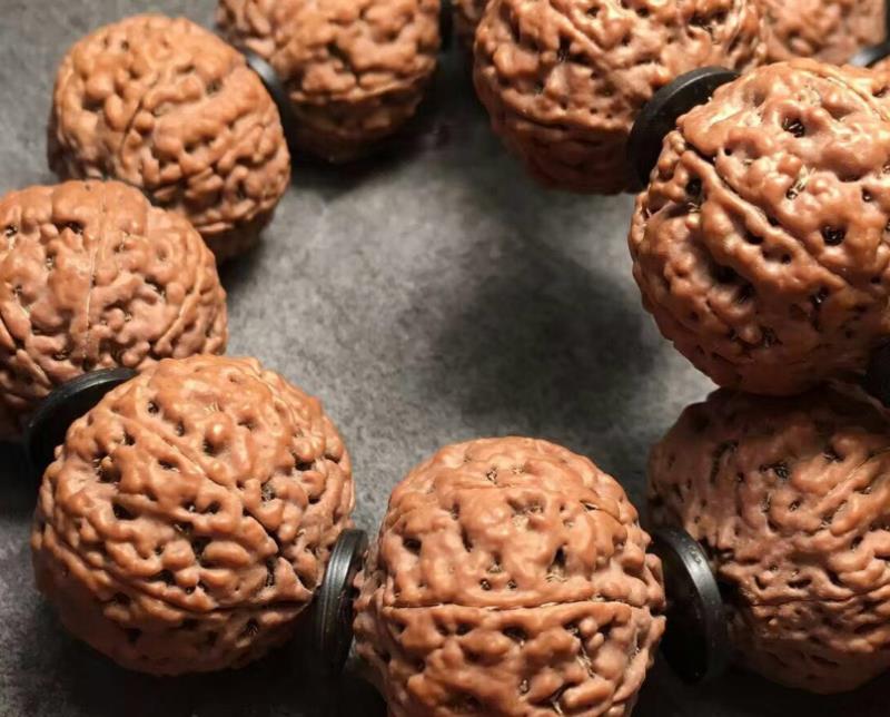 玩金刚必须知道什么,玩金刚应该注意的几个问题