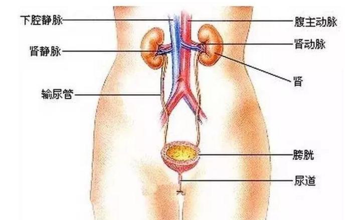 孩子高烧的原因是什么,孩子高烧一般是什么引起的