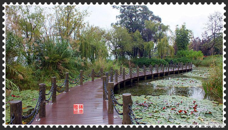 邛海公园旅游攻略,邛海旅游攻略酒村