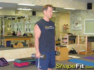 瘦子增肌的两套家庭哑铃健身计划,瘦的人如何用哑铃增肌