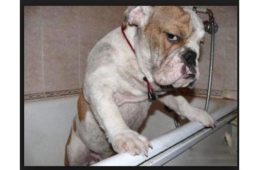 璐璐搞笑视频,璐璐搞笑视频116期