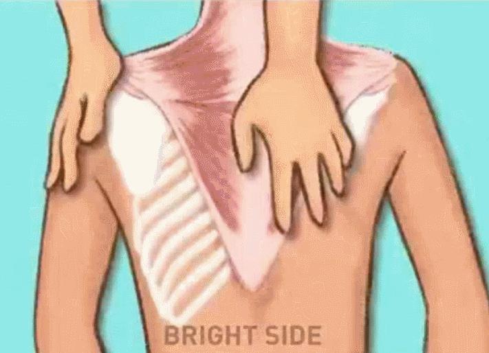 养生按摩身体手法全过程,1小时按摩全身教程