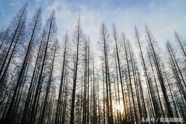 武磊助西班牙人收入猛增,武磊最新身价达2000万欧