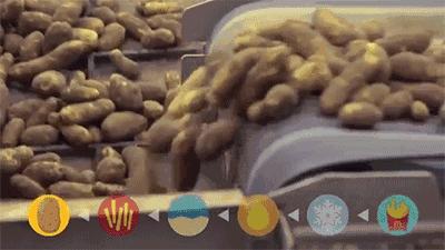 麦当劳薯条治疗脱发,麦当劳薯条掉头发