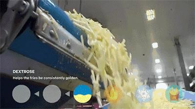 日本研究秃顶,日本教授秃头研究