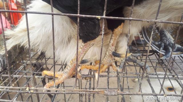 农村赶集挑鸡鸭,农村赶大集买鸡