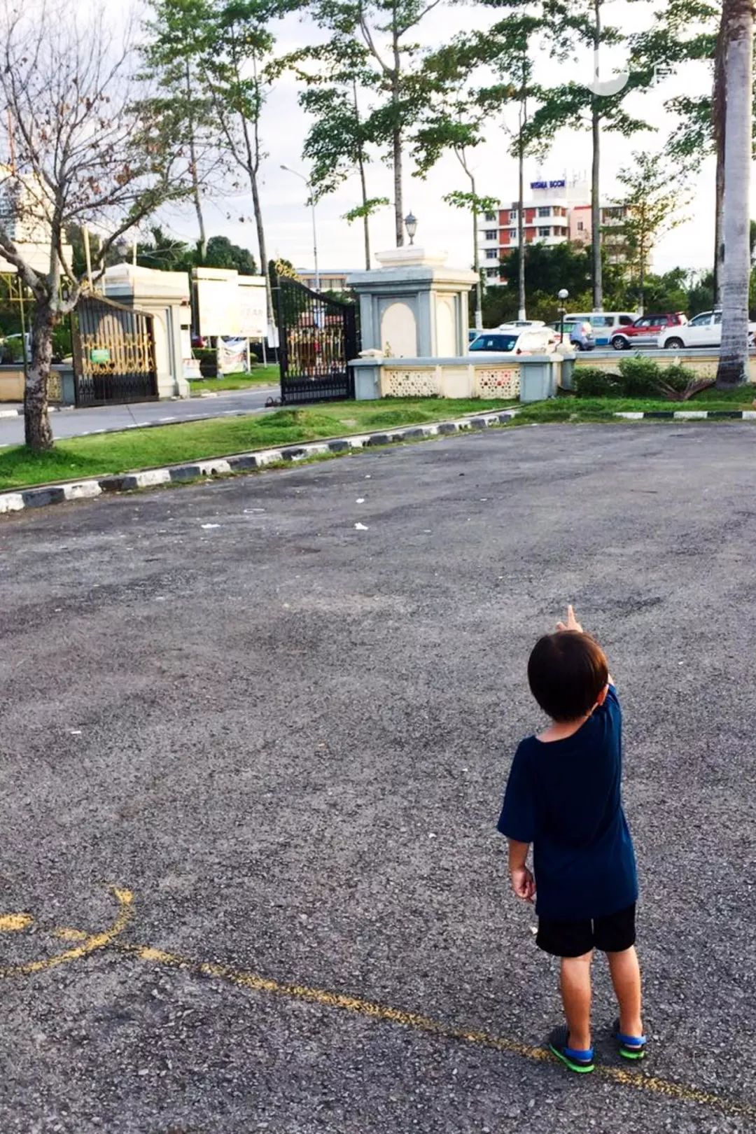 沙巴一日游必去的地方,沙巴旅行带你逛逛沙巴的海鲜早市